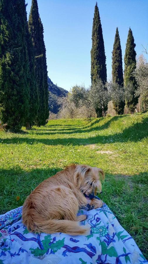 B&B Tre Ponti Castiglione Chiavarese Bagian luar foto